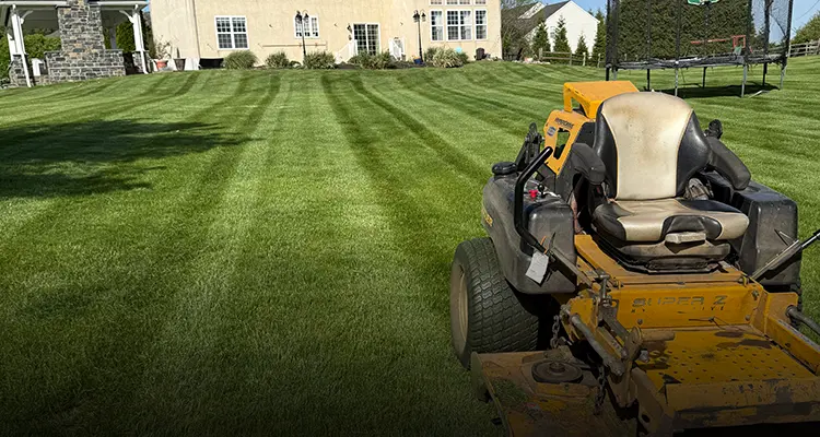 Bucket-Lawn Maintenance